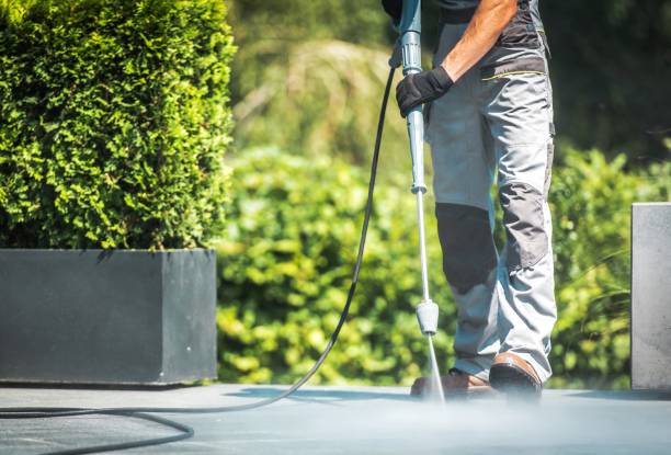 Animal Enclosure Cleaning in New Albany, MS