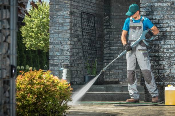 Best Dumpster Area Cleaning  in New Albany, MS